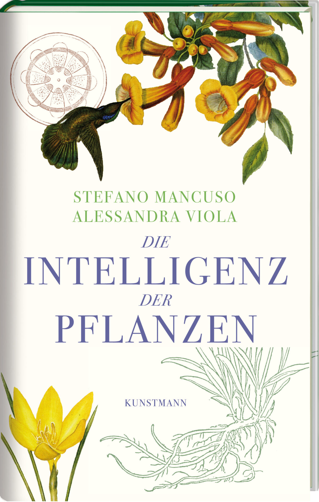 Buch Cover von Die Intelligenz der Pflanzen