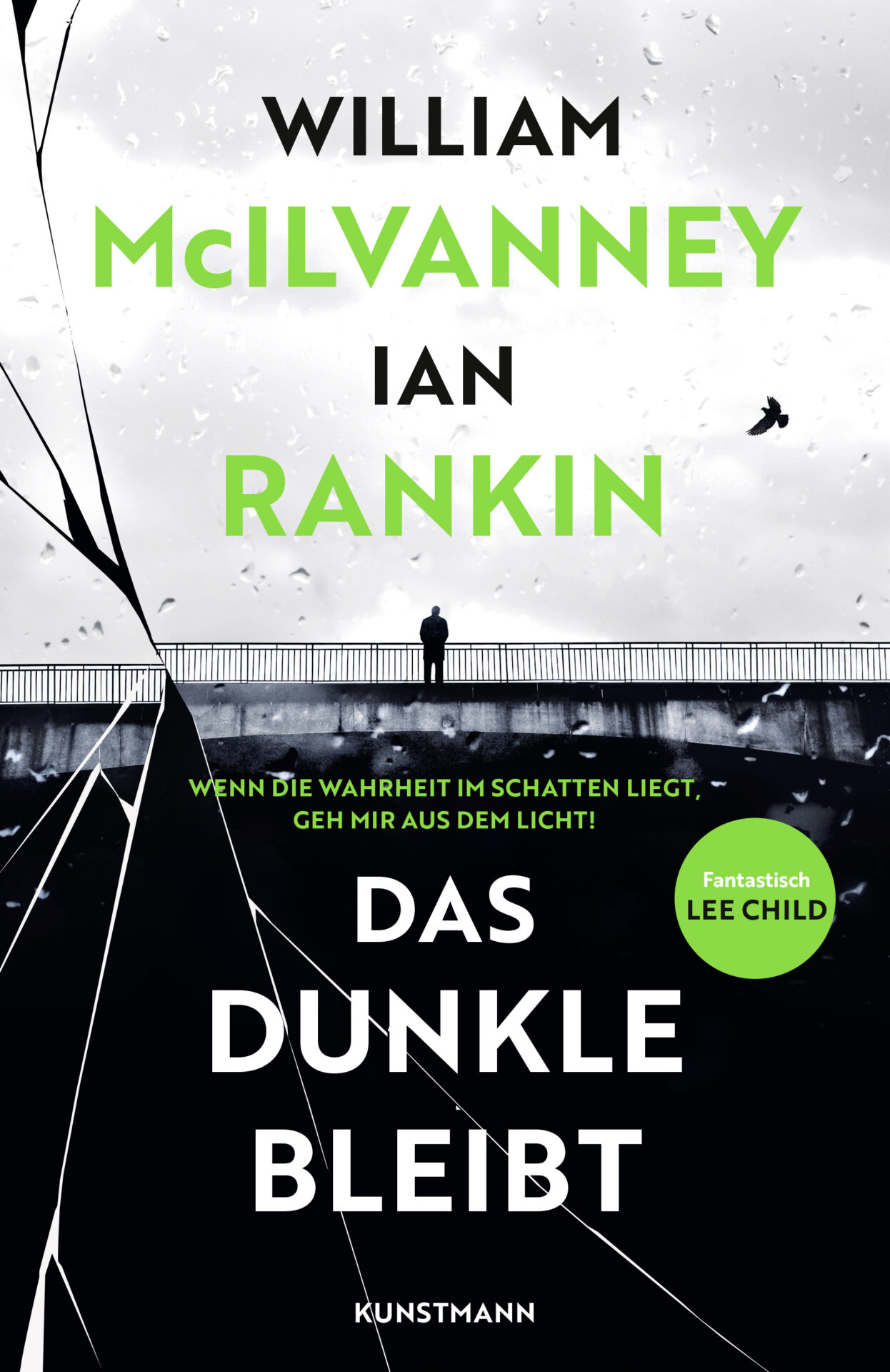Buch Cover von Das Dunkle bleibt
